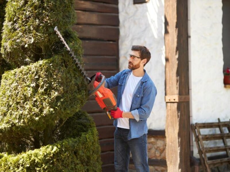 hedge trimming