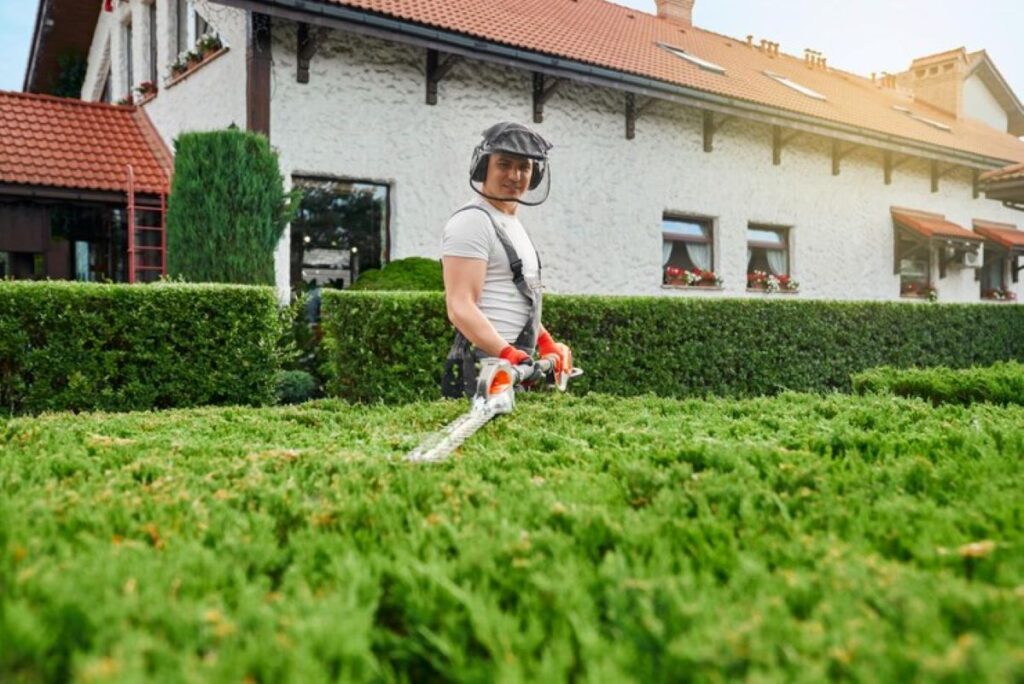 hedge cutting